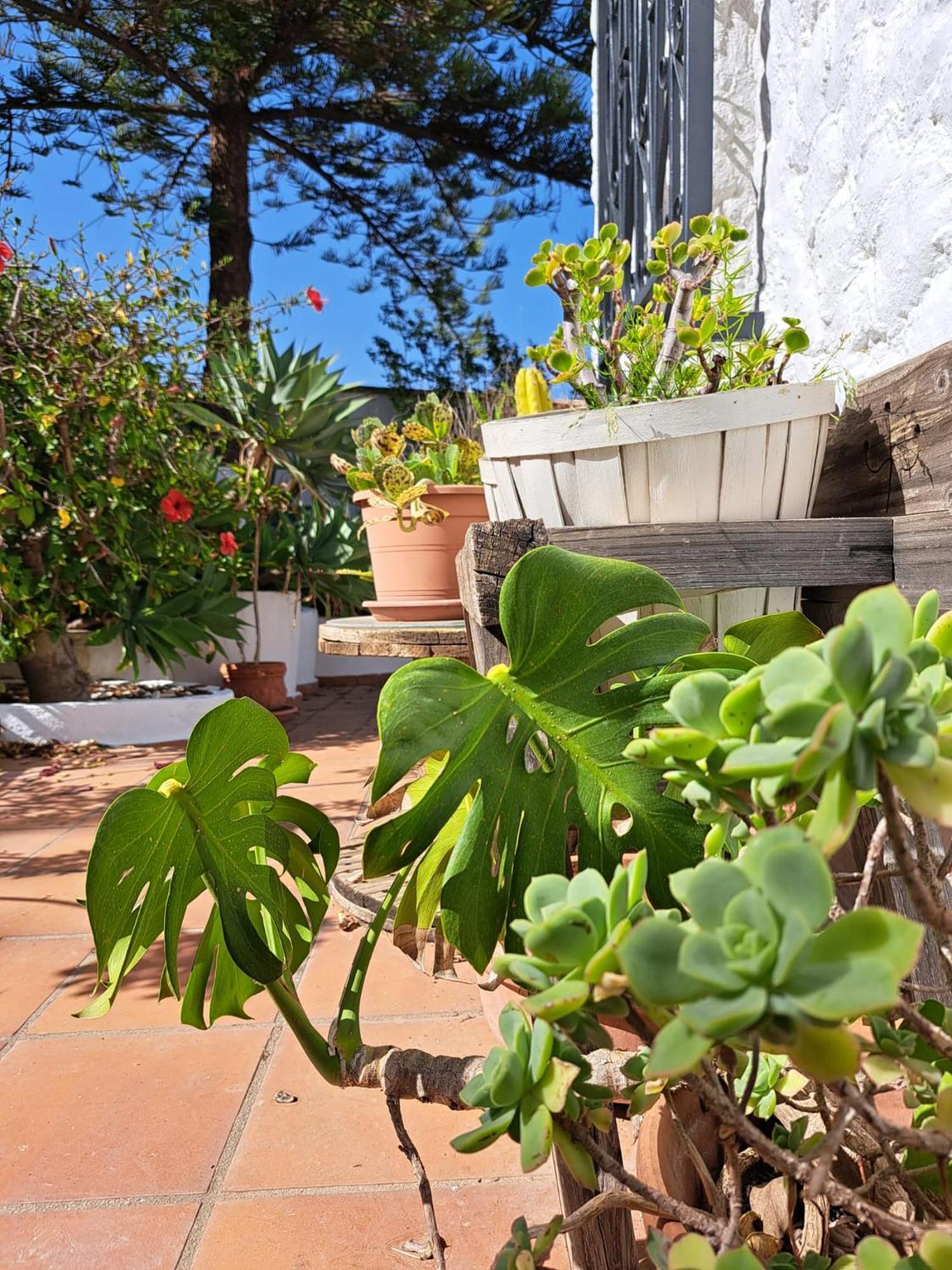 Casa Campo Mijas Costa Del Sol Málaga Esterno foto